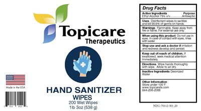 Topicare 200 Ct Hand Wipes (Topicare 200ct Hand Wipes Cropped)
